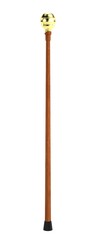 realistic 3d render of cane