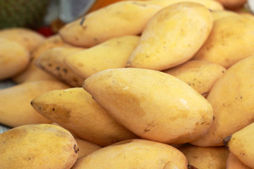Ripe mango in the market