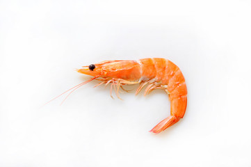 Fresh shrimps