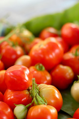 Fototapeta na wymiar fresh tomatoes in the market