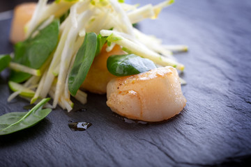 Scallop Salad