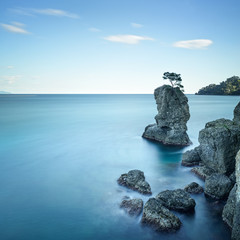 Portofino park. Pine tree rock cliff. Long exposure. Liguria, It