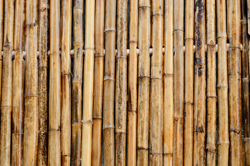 Bamboo wall decorate background