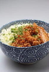 名物　ヒレカツ丼