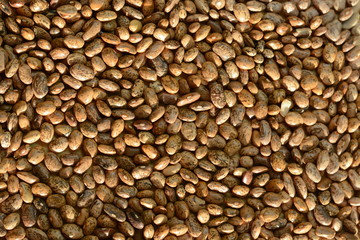 Dried beans