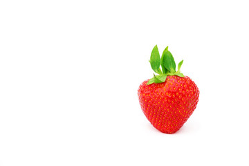 Fresh strawberries were placed on a white background