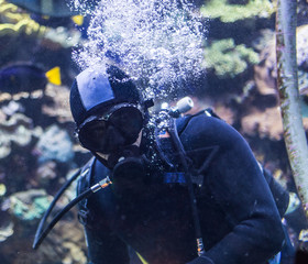 Portrait of a diver