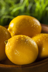 Organic Yellow Citrus Lemons