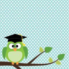 Owl with graduation cap sitting on branch