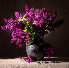 Blooming branches of lilac in vase