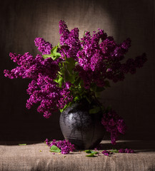 Blooming branches of lilac in vase