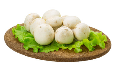 Raw Champignons