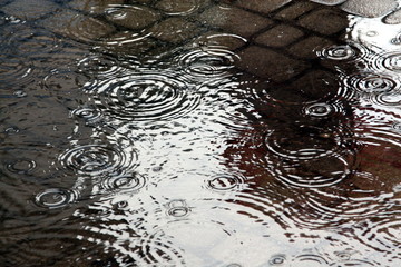 Rain in the city