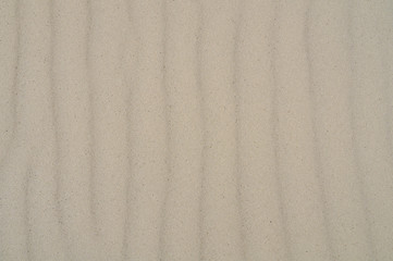 Fototapeta premium Texture quartz sand with natural daylight