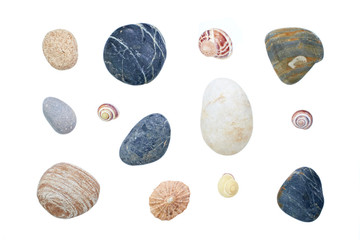 Sea shells and pebbles
