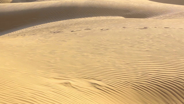 View of sand dunes in Thar desert, Rajasthan, India