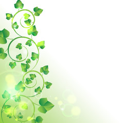 branch with fresh green leaves