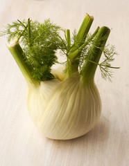 Fresh, organic fennel on a white background