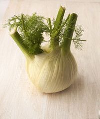 Fresh, organic fennel.
