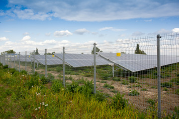 Obraz premium solar energy panels