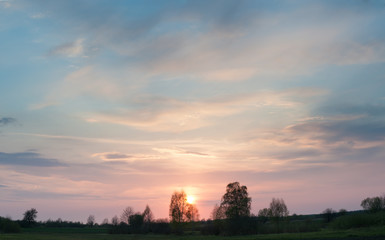 sunset in Volyn woodlands