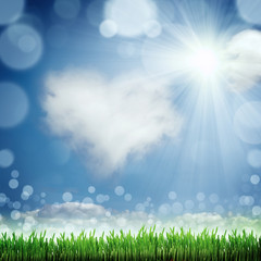 Obraz premium Spring nature background with grass and blue sky in the back