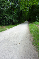 Spazierweg im Park