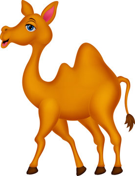 Cute camel cartoon