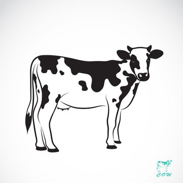 Vector image of an cow