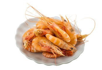 Big tiger shrimps