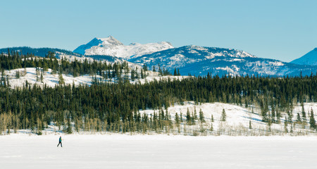 X-Country Skier frozen Lake Laberge winter scenery