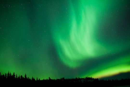 Aurora borealis substorm swirls over boreal forest
