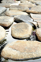 Stone path in water garden