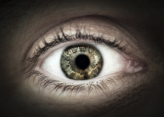 Male eye macro closeup