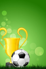 Soccer Ball with Trophy on Green Grass