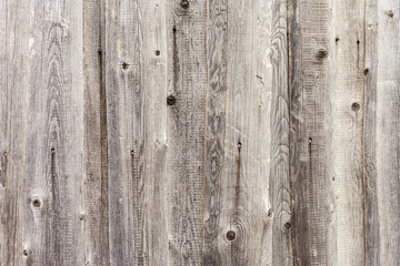 Fototapeta premium Rocznik tła drewna biała ściana.