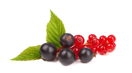 currants