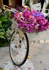 Fototapeta na wymiar rower i kwiat