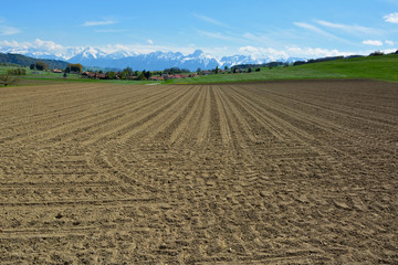 Fototapeta premium The Swiss Village Surrounded and Plowed Fields