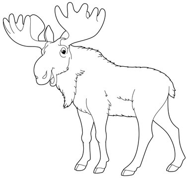 Cartoon scene of wild animal - coloring page - moose - illustration for children