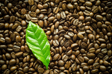 roasted coffee beans background