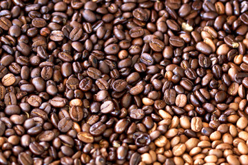 Roasted coffee beans