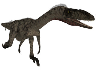 Coelophysis - 3D Dinosaur