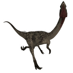 Coelophysis - 3D Dinosaur