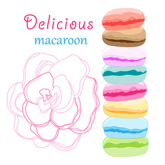 delicious macaroon