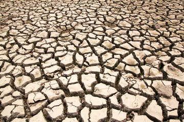 Drought