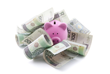 Piggy bank with polish money. Clipping path included.