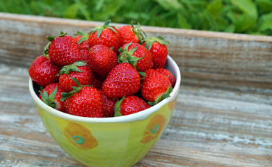 Leckere Erdbeeren aus dem Garten