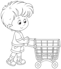 Boy with a shopping trolley