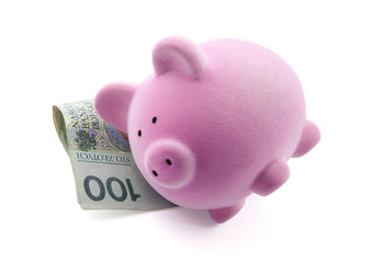 Piggy bank sleeping on polish banknotes. Clipping path included.
